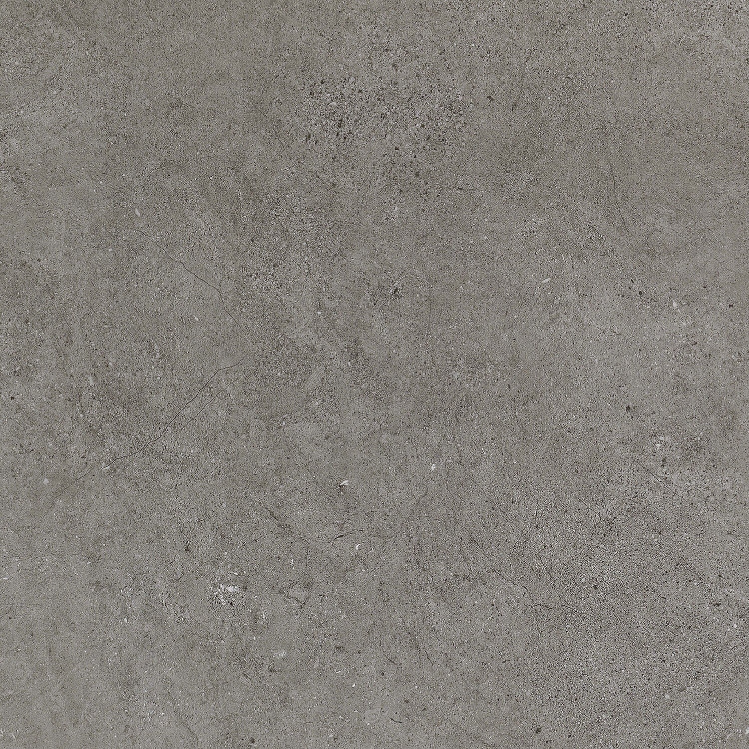 Cool Grey Concrete
